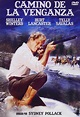 Camino de la venganza [DVD]: Amazon.es: Burt Lancaster, Shelley Winters ...