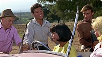 Summer Holiday (1963) — The Movie Database (TMDb)