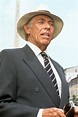 James Coburn Filmografie Biografie - ikwilfilmskijken.com