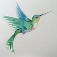 Hummingbird Drawing, Pencil, Sketch, Colorful, Realistic Art Images ...