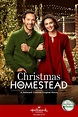 "Christmas in Homestead" (2016) | Hallmark christmas movies, Taylor ...