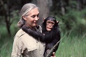 Jane Goodall: Un proyecto Edelvives para el aula