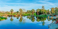 Palm Desert Wallpapers - Top Free Palm Desert Backgrounds - WallpaperAccess