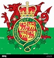 Gales escudo y bandera, símbolos oficiales de la nación Imagen Vector ...
