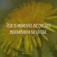 40 frases de momentos para você eternizar os acontecimentos marcantes