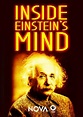 Ver En la mente de Einstein Película 2015 Online Gratis