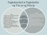 Gawain 3: Gamit Ang Venn diagram, isulat Ang mga pagkakaiba at ...