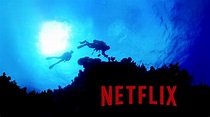 5 of the Best Must-Watch Ocean Documentaries on Netflix