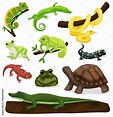 Reptile vector animal reptilian character. Serpent, reptile and ...