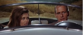 Movie Review: Harper (1966) | The Ace Black Movie Blog