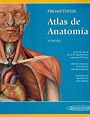 Atlas De Anatomia Humana 2019