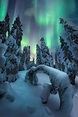 Laponia, bosques infinitos y auroras boreales - Piros Explorer
