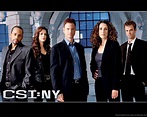 CSI New York Wallpapers - Top Free CSI New York Backgrounds ...