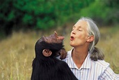 Jane Goodall: biografía y resumen de sus aportes a la ciencia