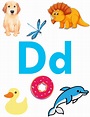 D Alphabet Letter