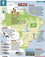 Educational infographic : Le Brésil - InfographicNow.com | Your Number ...