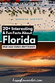 20+ Interesting & Fun Facts About Florida (That Most Visitors Don't Know!)