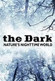The Dark: Nature's Nighttime World - Rotten Tomatoes