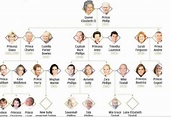 王室家谱：哈里和梅根的孩子在英国王位继承顺序中处于什么位置？ - 每日头条