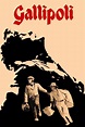 Gallipoli (1981) - Posters — The Movie Database (TMDB)