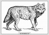 Colorear Dibujos de Lobos - Rincon Dibujos