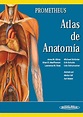 Prometheus Atlas de Anatomía | booksmedicos