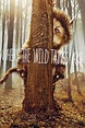 Where the Wild Things Are (2009) - Rotten Tomatoes