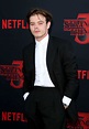 Charlie Heaton Attends the Stranger Things Season 3 Premiere in Santa ...