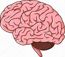 Dibujos animados cerebro humano: fotografía de stock © starlight789 ...