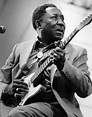 Muddy Waters' former home one step closer to becoming museum ...