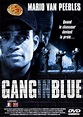 Gang in Blue (1996)