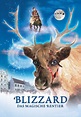 Blizzard - Das magische Rentier - Movies on Google Play