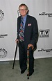 Jack Riley Dies; The Bob Newhart Show Star Was 80