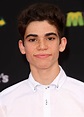 Cameron Boyce Picture 15 - Los Angeles Premiere of Disney's Muppets ...