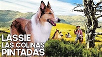 Lassie - Las colinas pintadas | Película Familiar | Occidental ...