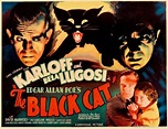 Black Cat Movies to Bring You Luck This Friday the 13th - Bell of Lost ...