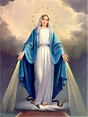 Por que devemos conhecer a Virgem Maria? | Todo de Maria
