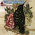 The Wallflowers - Rebel, Sweetheart Lyrics and Tracklist | Genius