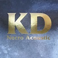 Kevin Drumm – Necro Acoustic (2010, CD) - Discogs