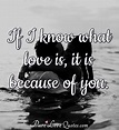 If I know what love is, it is because of you. | PureLoveQuotes