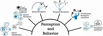 Multisensory Integration and the Society for Neuroscience: Then and Now ...