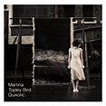 Quixotic - Martina Topley-Bird — Listen and discover music at Last.fm