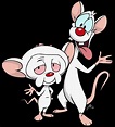 Pin by 🌼_Vale_🌼 on Pinky y Cerebro | Cartoon wallpaper, Cartoon art ...