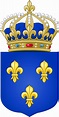 Arms of the Kingdom of France - Historical Coats of Arms of France ...
