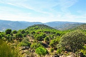 Sierra de Andújar | andalusien 360°