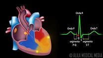 El Sistema de Conducción Cardíaca y la Relación con ECG, Animación ...
