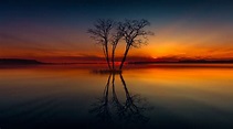 Horizon Lake Nature Reflection Sunset Tree, HD Nature, 4k Wallpapers ...