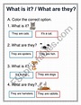 WHAT IS IT? & WHAT ARE THEY? - ESL worksheet by lahm
