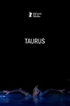 Taurus (2022) - Posters — The Movie Database (TMDB)