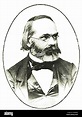 Carl Wilhelm von Naegeli Stock Photo - Alamy